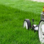 Lawn Mowing Essentials
