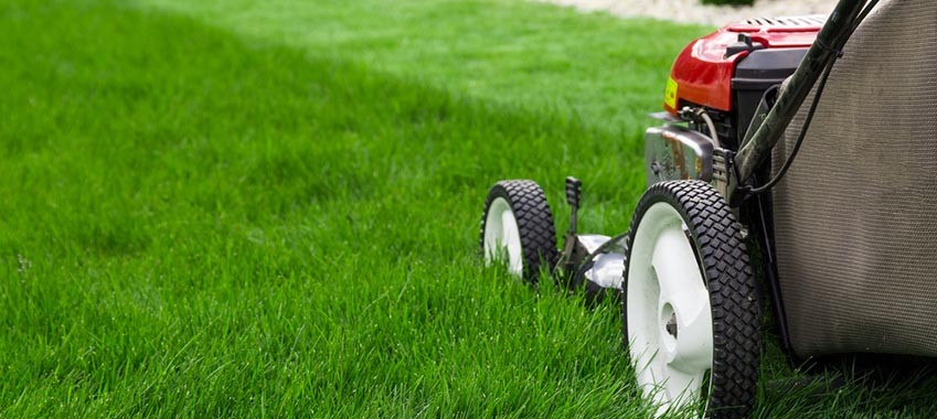 Lawn Mowing Essentials