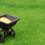 Lawn Winterization Treatment