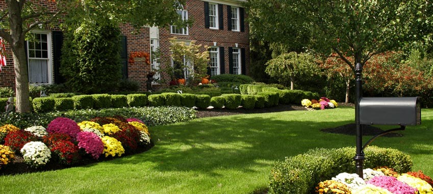 Time for Fall Landscaping