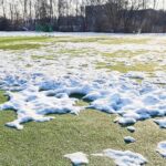 Watch out for Winter Lawn Damage!