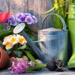 10 New Gardening Tips and Tricks