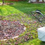 3 Ways to Transition Your Outdoor Space from Summer to Fall