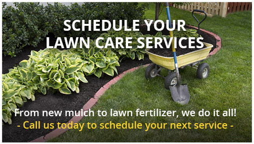 Spring Lawn Services