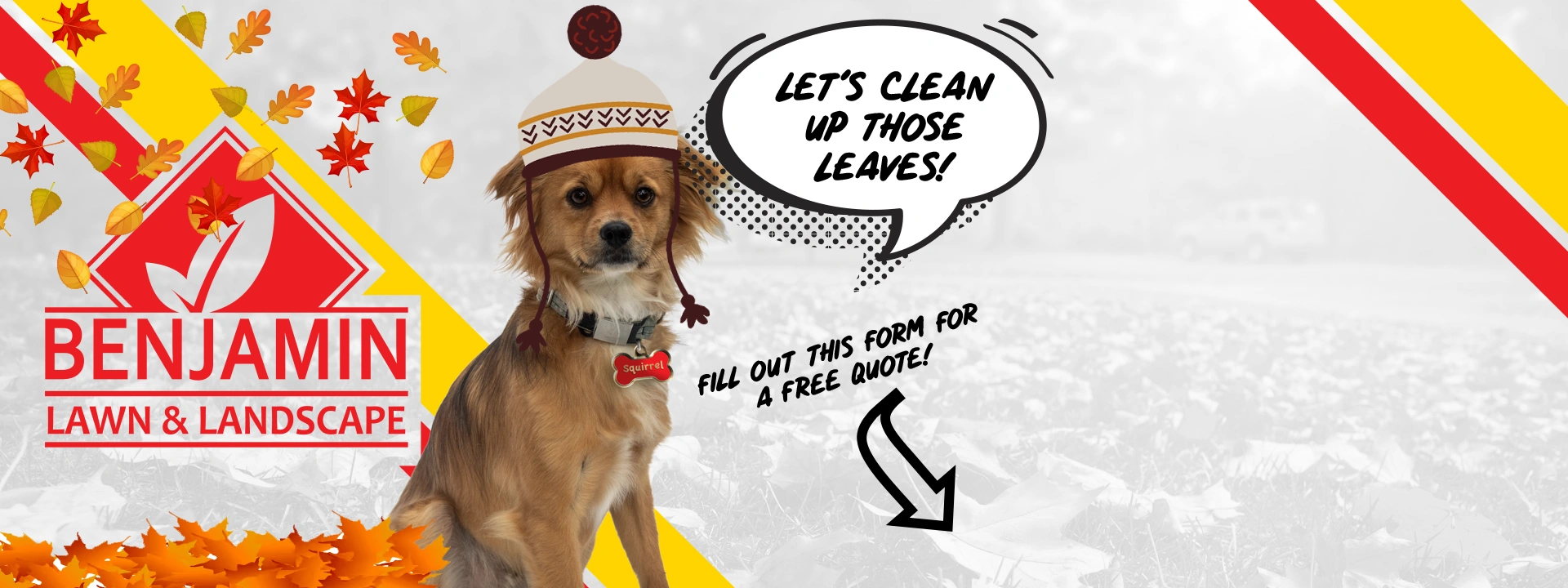 Benjamin Lawn & Landscape Kansas City